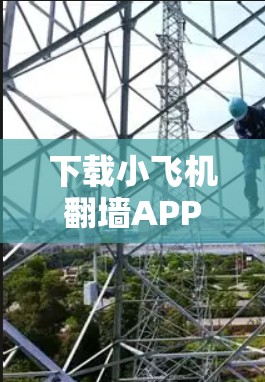 下载小飞机翻墙APP的步骤如下