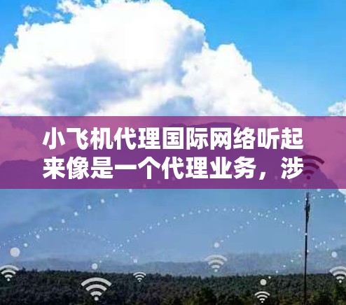 小飞机代理国际网络听起来像是一个代理业务，涉及国际网络服务。以下是一些可能的解释和相关信息