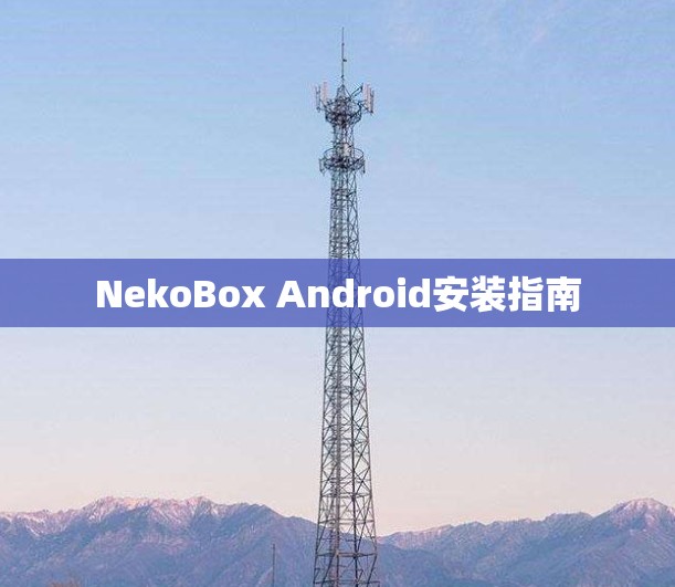 NekoBox Android安装指南