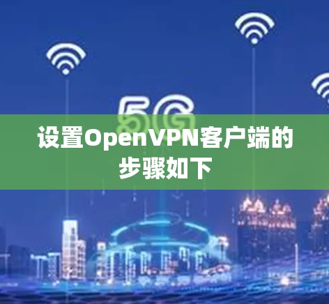 设置OpenVPN客户端的步骤如下