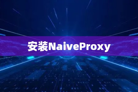 安装NaiveProxy