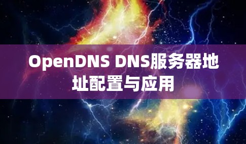 OpenDNS DNS服务器地址配置与应用