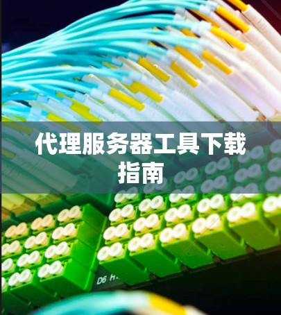 代理服务器工具下载指南