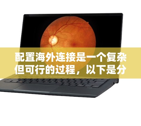 配置海外连接是一个复杂但可行的过程，以下是分步骤的指南，帮助您顺利完成配置