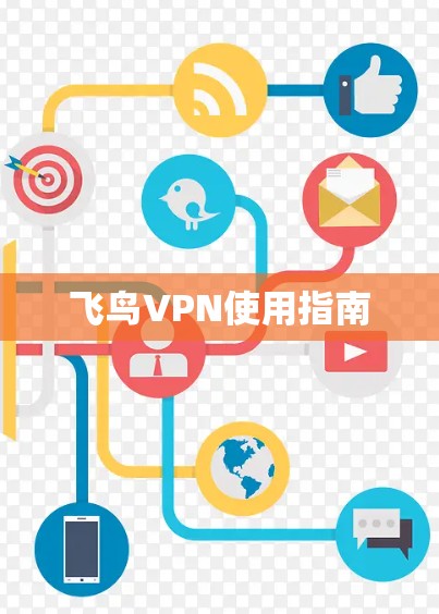 飞鸟VPN使用指南