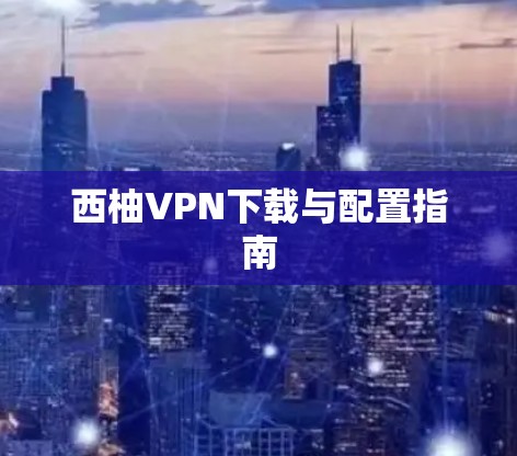 西柚VPN下载与配置指南