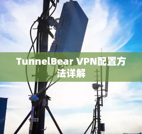 TunnelBear VPN配置方法详解