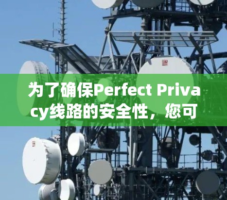 为了确保Perfect Privacy线路的安全性，您可以按照以下步骤进行测试