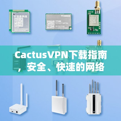 CactusVPN下载指南，安全、快速的网络保护方案