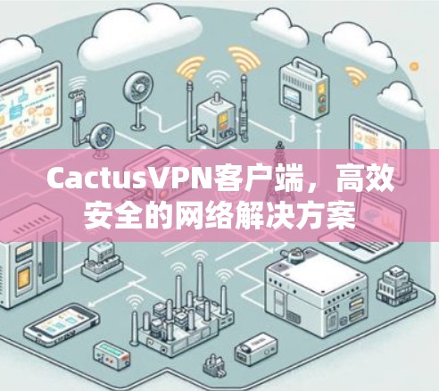 CactusVPN客户端，高效安全的网络解决方案