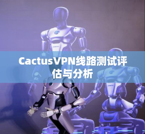CactusVPN线路测试评估与分析