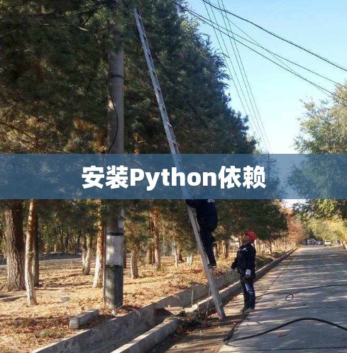 安装Python依赖