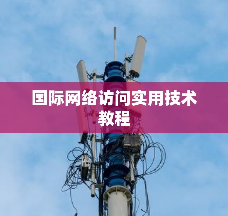 国际网络访问实用技术教程
