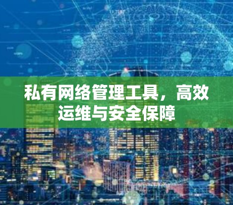 私有网络管理工具，高效运维与安全保障