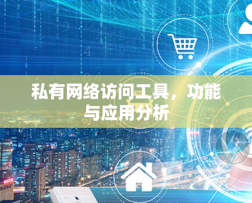私有网络访问工具，功能与应用分析