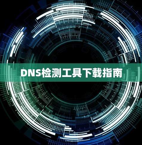 DNS检测工具下载指南