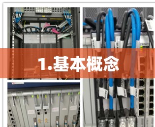 1.基本概念