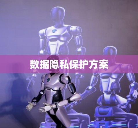 数据隐私保护方案