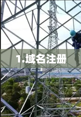 1.域名注册
