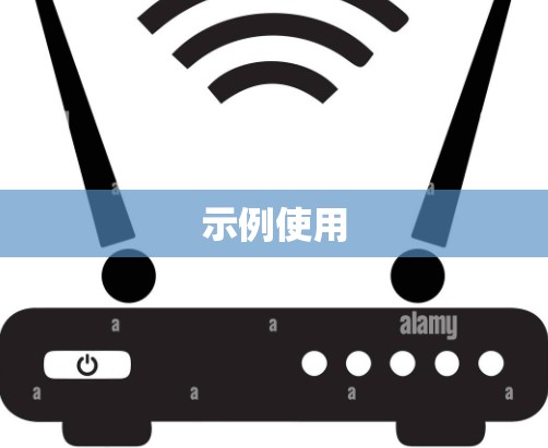 示例使用