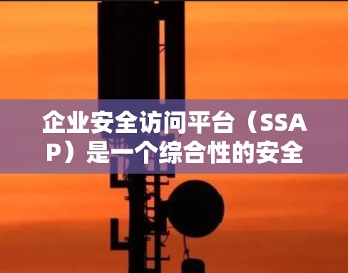 企业安全访问平台（SSAP）是一个综合性的安全管理工具，用于控制企业内部网络资源的访问权限，保护数据安全，防止未经授权的访问。以下是对SSAP的详细分析和总结