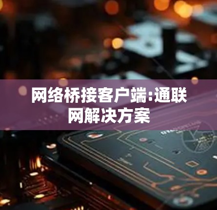 网络桥接客户端:通联网解决方案