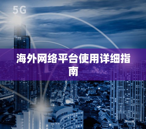 海外网络平台使用详细指南