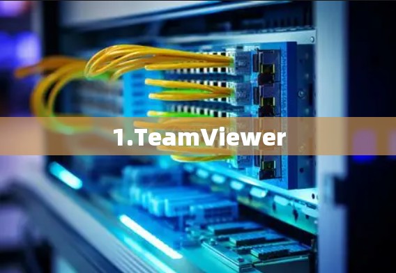 1.TeamViewer