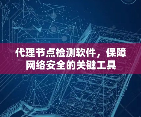代理节点检测软件，保障网络安全的关键工具