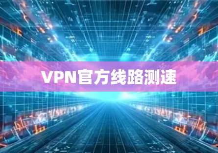 VPN官方线路测速