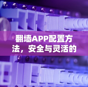 翻墙APP配置方法，安全与灵活的平衡