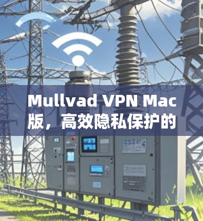Mullvad VPN Mac版，高效隐私保护的专业通信解决方案