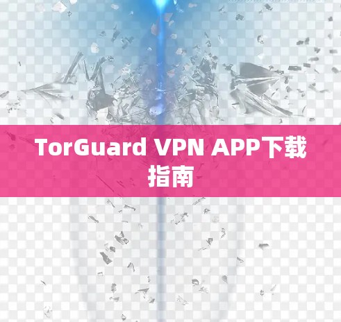 TorGuard VPN APP下载指南