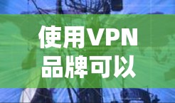 使用VPN品牌可以帮助用户保护隐私、访问受限的网站或内容，以及连接到安全的网络环境。以下是一个VPN品牌使用的基本教程，分为选择、安装、配置和使用几个主要步骤