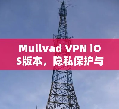 Mullvad VPN iOS版本，隐私保护与高效连接的完美结合