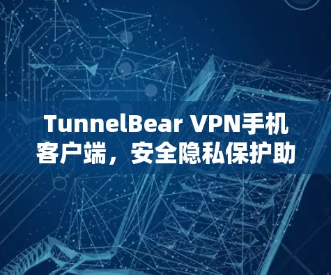 TunnelBear VPN手机客户端，安全隐私保护助力通信