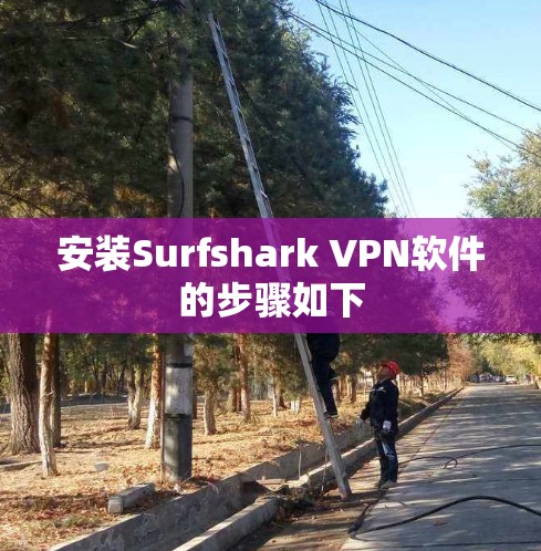 安装Surfshark VPN软件的步骤如下