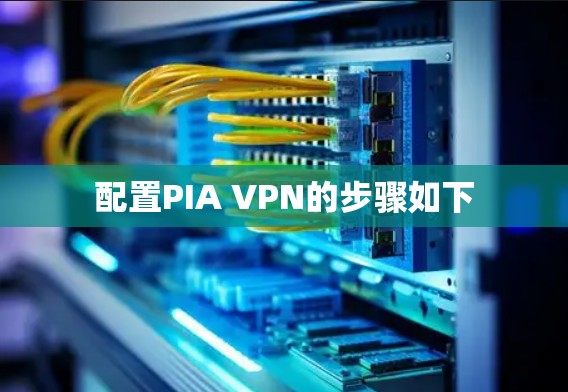 配置PIA VPN的步骤如下
