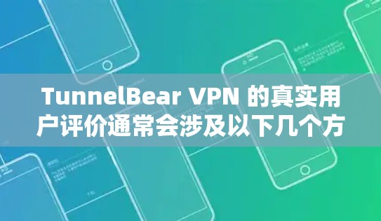 TunnelBear VPN 的真实用户评价通常会涉及以下几个方面