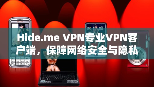 Hide.me VPN专业VPN客户端，保障网络安全与隐私保护