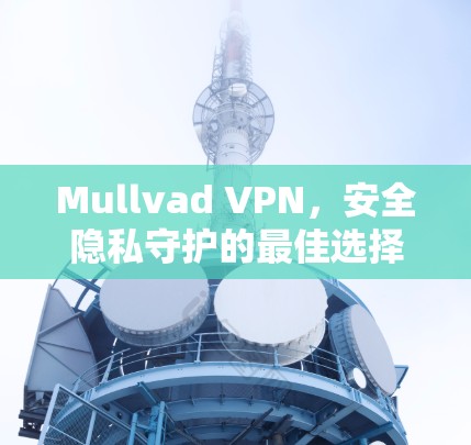 Mullvad VPN，安全隐私守护的最佳选择