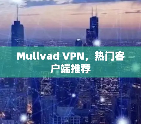 Mullvad VPN，热门客户端推荐
