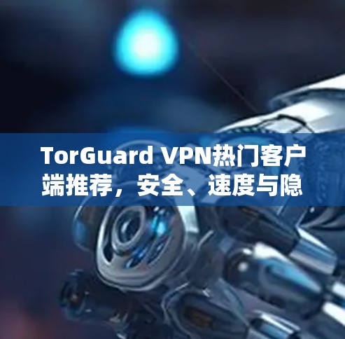 TorGuard VPN热门客户端推荐，安全、速度与隐私的完美结合