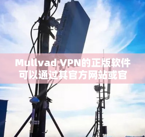 Mullvad VPN的正版软件可以通过其官方网站或官方授权渠道购买和下载。如果你想确保下载到正版软件，建议直接从Mullvad VPN的官方网站或通过他们的官方应用商店下载