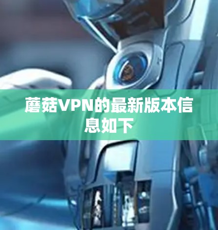 蘑菇VPN的最新版本信息如下