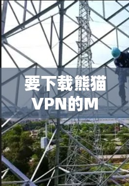要下载熊猫VPN的Mac版，建议按照以下步骤操作
