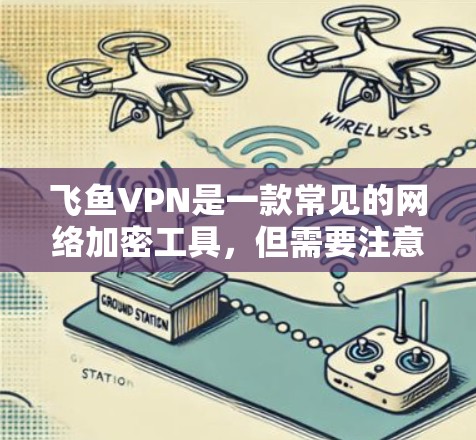 飞鱼VPN是一款常见的网络加密工具，但需要注意的是，很多类似的软件可能存在盗版或非法版本，这些版本可能带有恶意软件，侵犯版权或窃取用户数据。因此，建议您通过官方渠道获取软件，确保使用正版和安全的版本