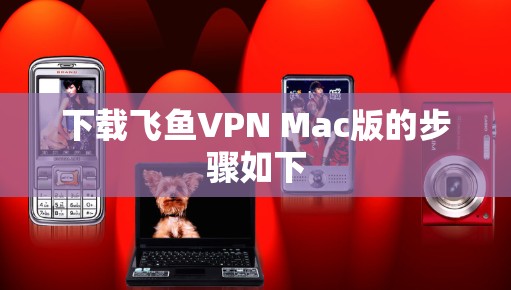 下载飞鱼VPN Mac版的步骤如下