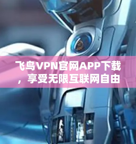 飞鸟VPN官网APP下载，享受无限互联网自由