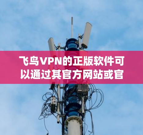 飞鸟VPN的正版软件可以通过其官方网站或官方授权渠道获取。建议直接访问飞鸟VPN的官方网站（如www.flyvpn.com）在其官网或官方应用商店页面下载正版软件，以确保软件的合法性和安全性
